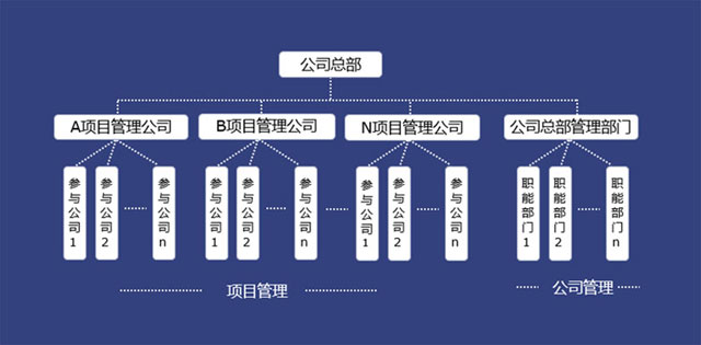 項(xiàng)目管理和公司管理